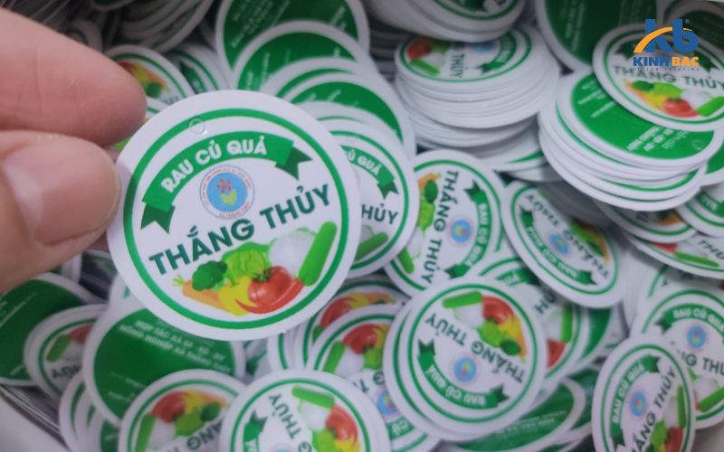 Xưởng in nhanh tự hào là đối tác hàng đầu của các doanh nghiệp trong lĩnh vực in ấn