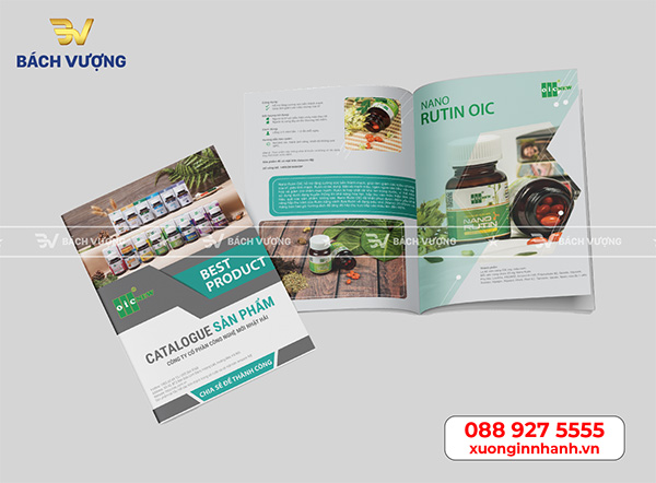 Mẫu catalogue đẹp