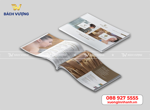 Mẫu catalog đẹp