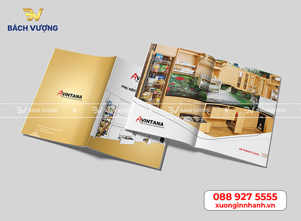 Mẫu catalogue đẹp