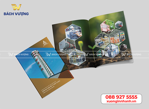 Mẫu catalog đẹp 