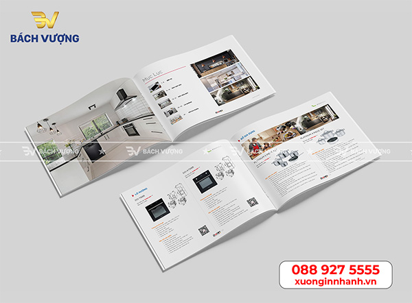 Mẫu catalog đẹp