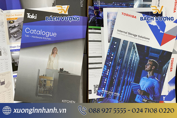 Bìa catalogue đẹp là yếu tố thu hút khách hàng trước tiên