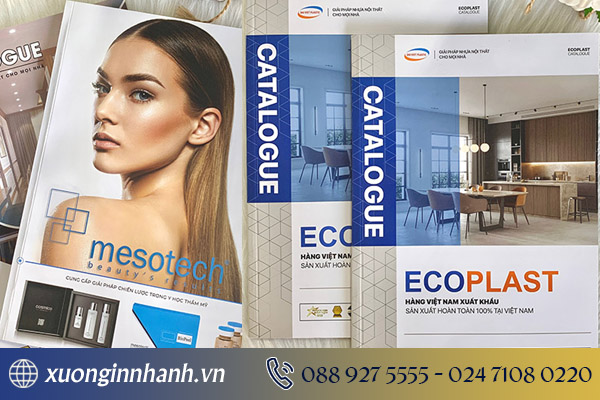 Mẫu catalogue sản phẩm