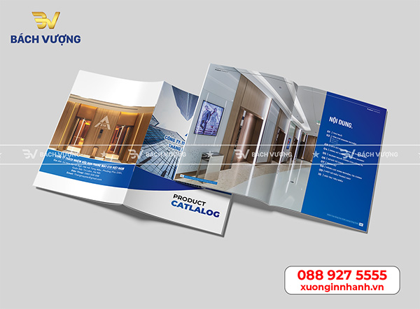 Mẫu catalogue đẹp