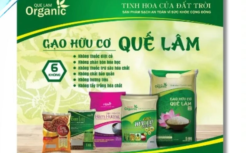 Tờ rơi quảng cáo gạo là công cụ cực kỳ hữu ích giúp doanh nghiệp tiếp cận thêm nhiều khách hàng tiềm năng