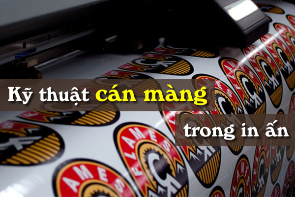 Cán màng là gì? Các phương pháp cán màng decal phổ biến trong in ấn