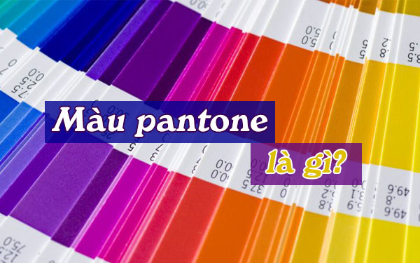 Màu pantone là gì? Ứng dụng của hệ thống màu sắc chuẩn hóa định hình thế giới thiết kế